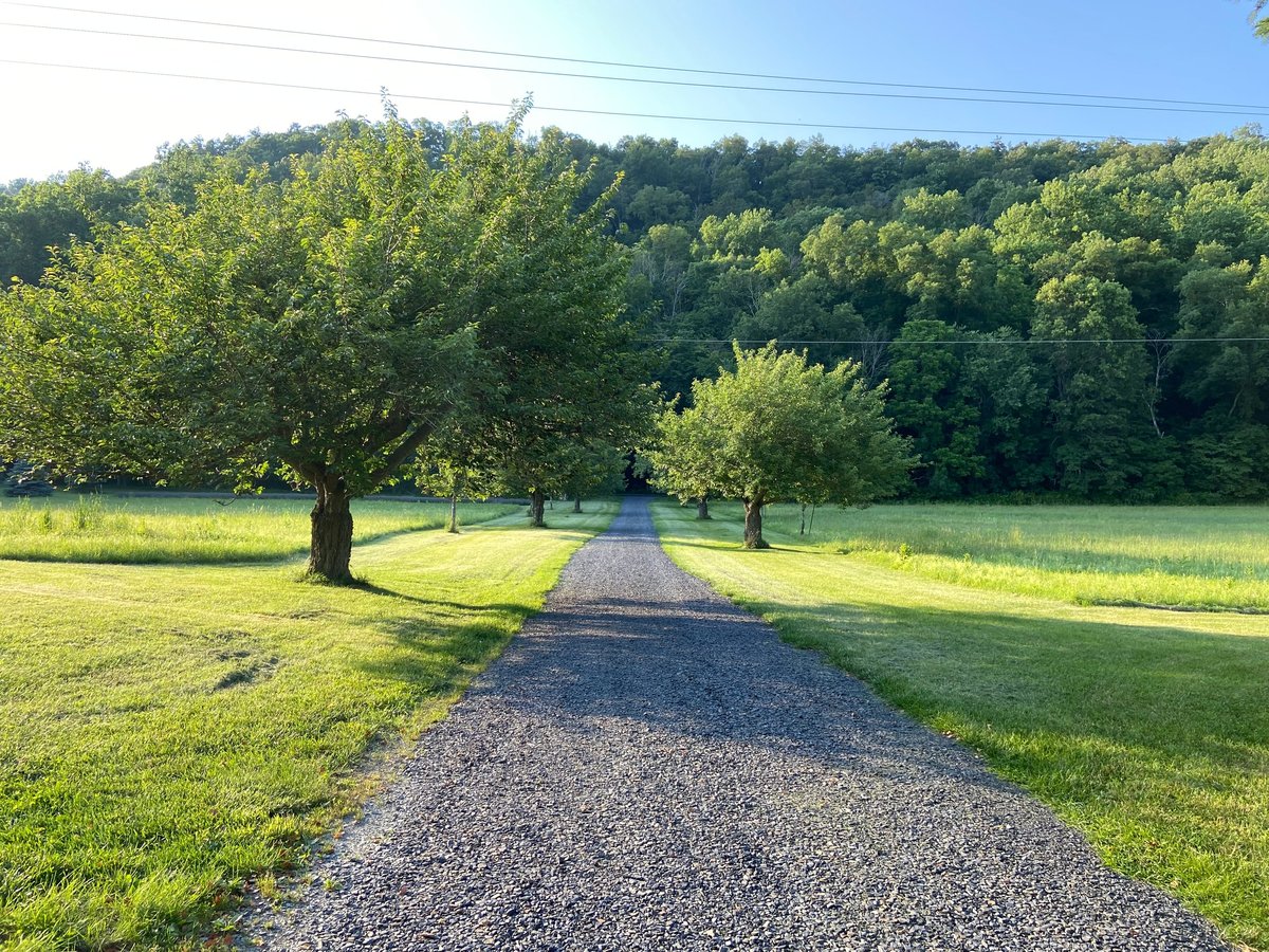 Looking down a gravel driveway on a rural property lined with trees